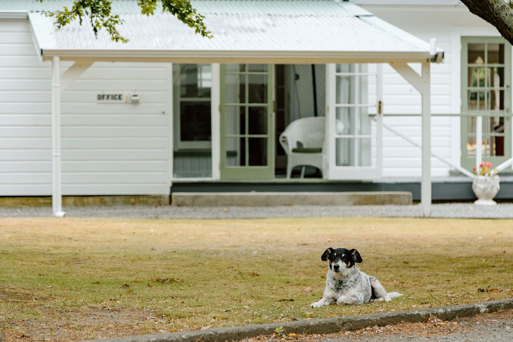 We live on site and welcome the family pooch.