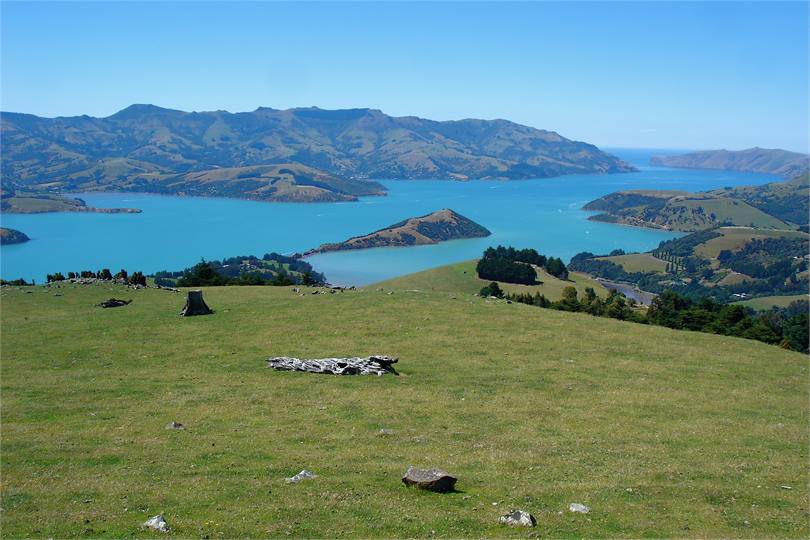 Akaroa Harbour & Onawe Peninsula from scenic summi