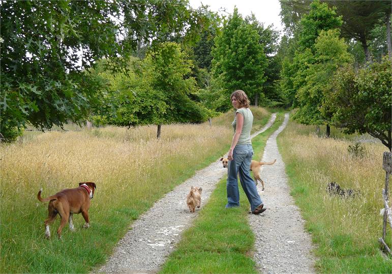 1/2km Property driveway - Great for the dogs.