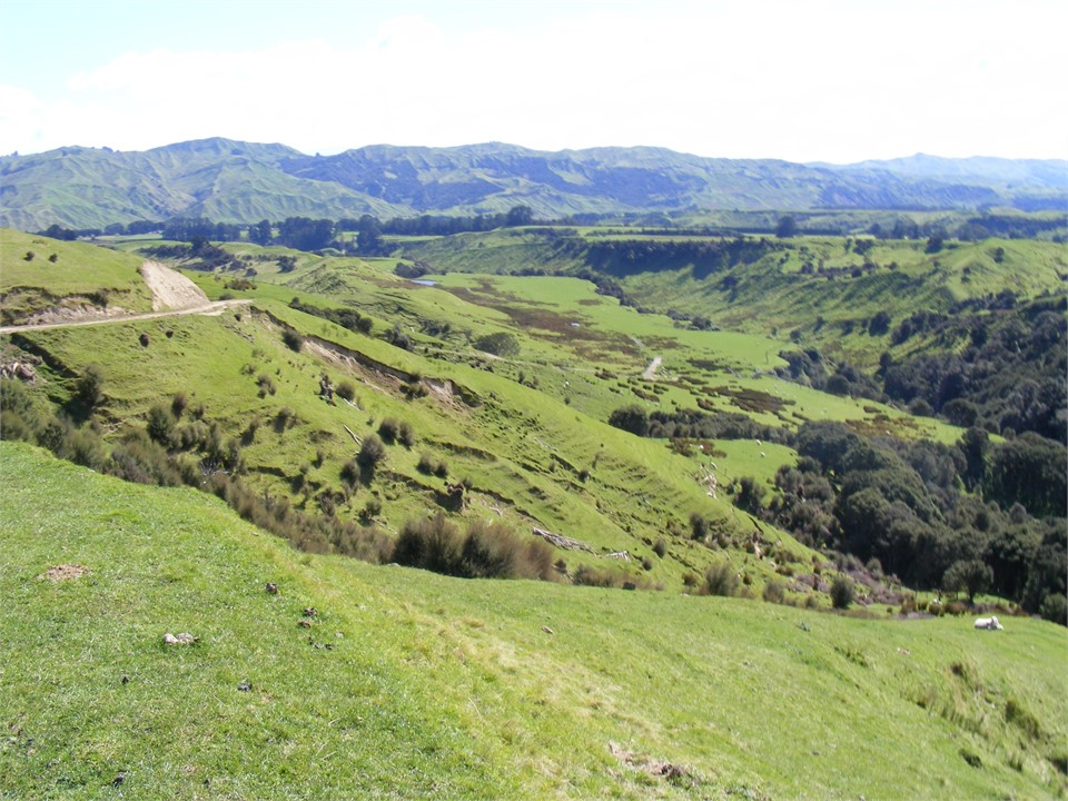 View from hill up on farm