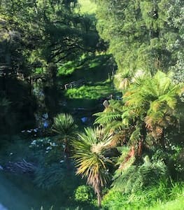View from the dining table