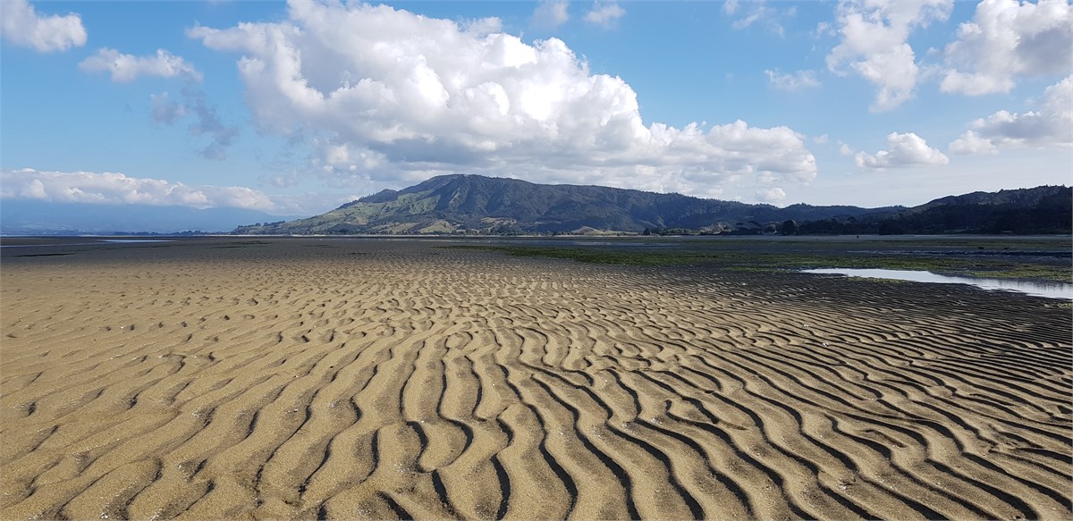 Beach out in front of Soggy Bottom farm