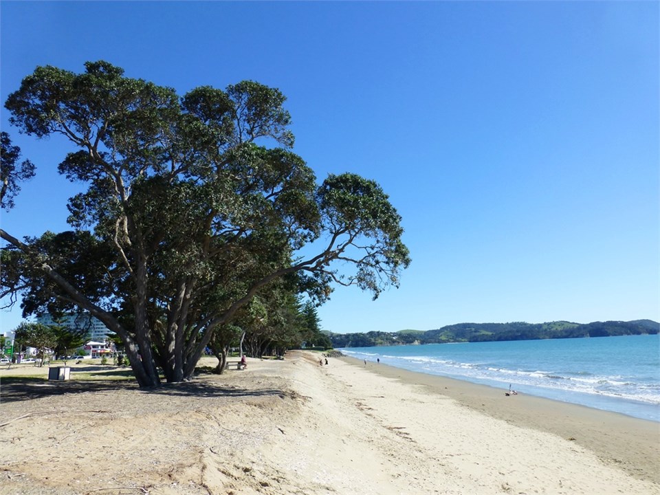 Orewa Beach