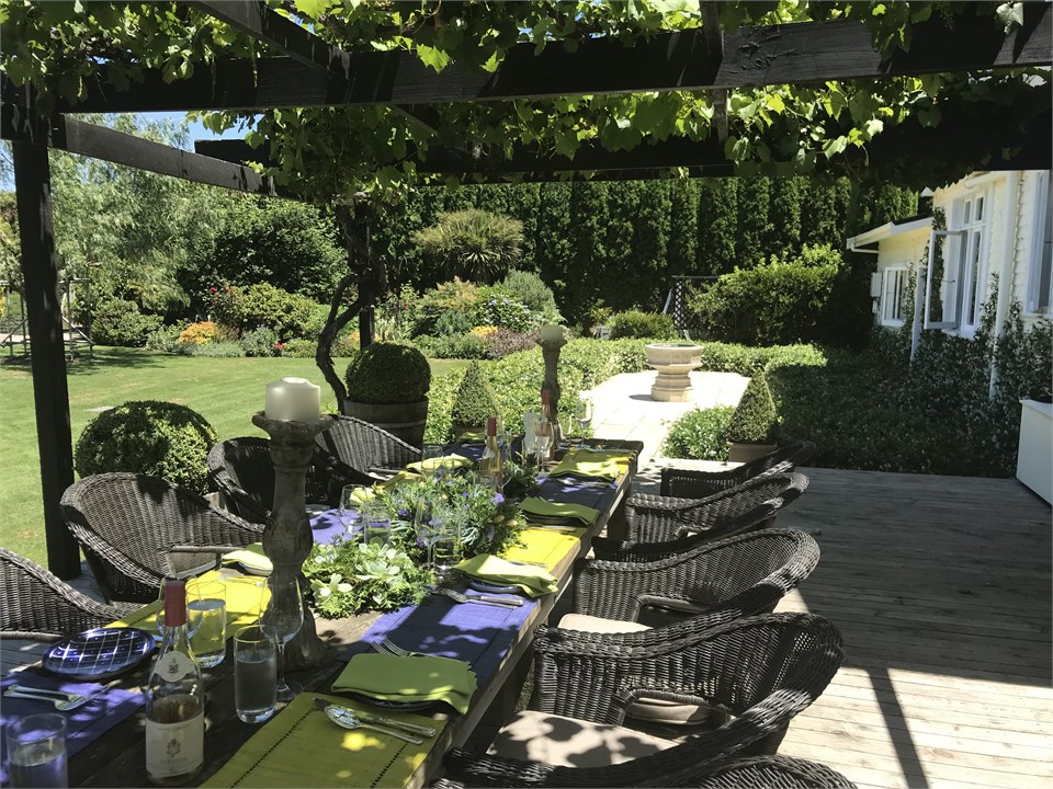 Al fresco dining under the grape vine