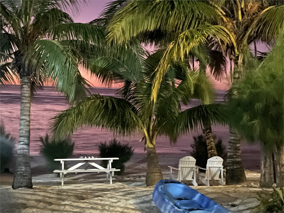 Beachfront setting at Rarotonga Villas