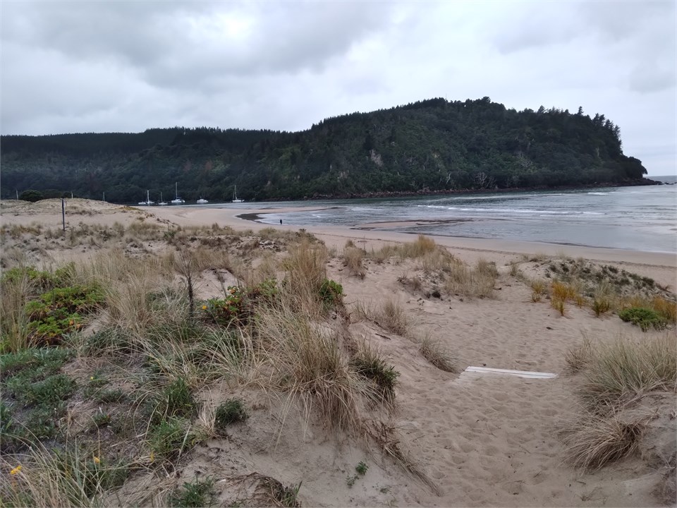 Whangamata Dunes