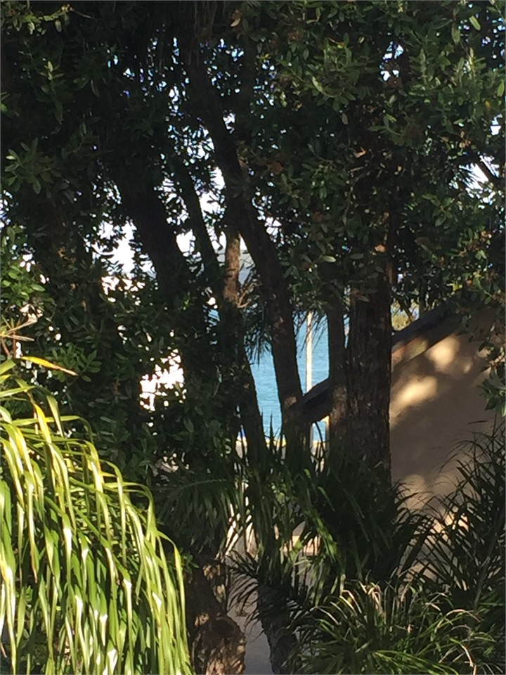 Peep of the sea from Bedroom 1