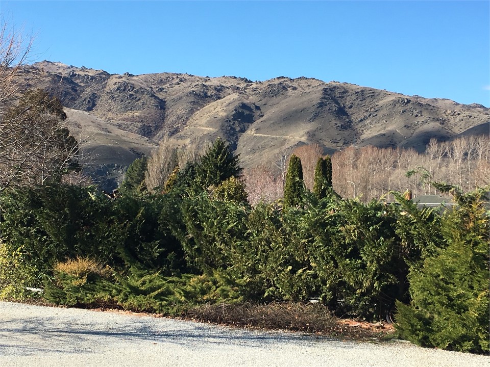 View of the Dunstan Range