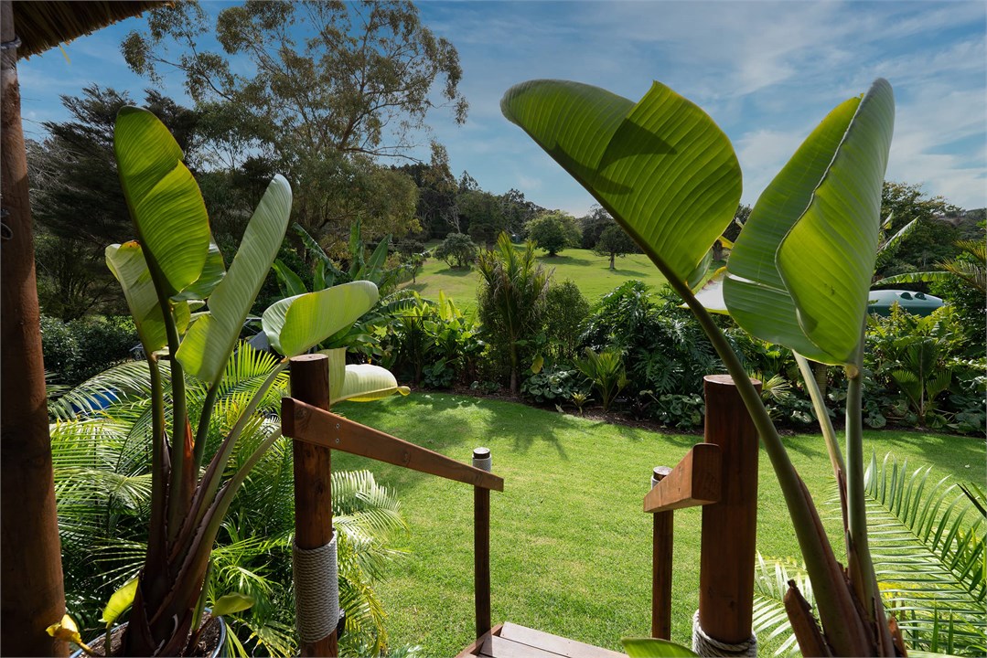 Pacific themed garden