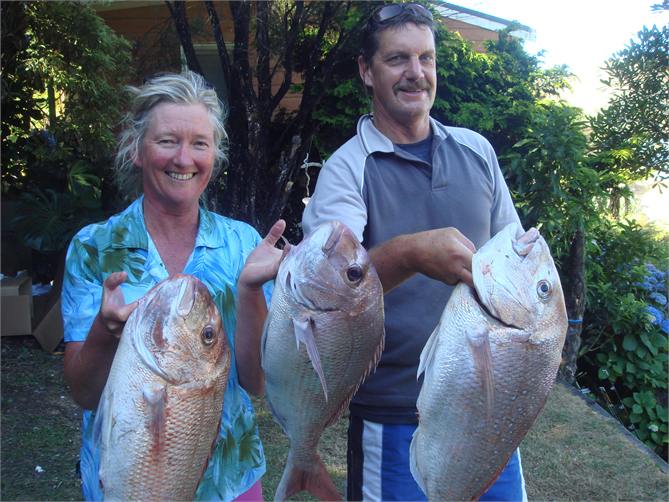 the proof 1min from bach