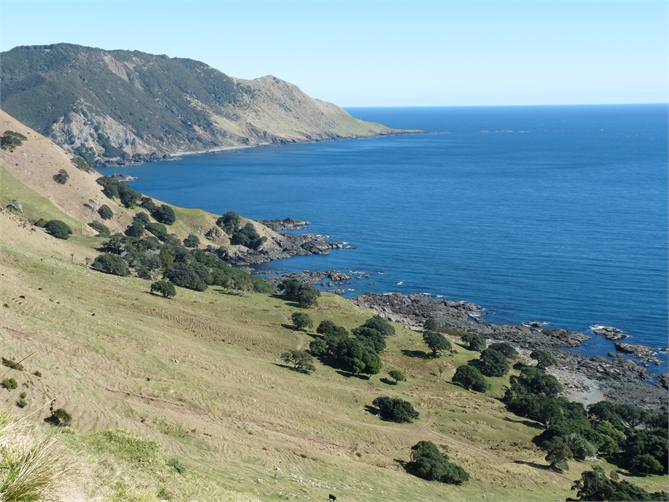 The coast on our farm