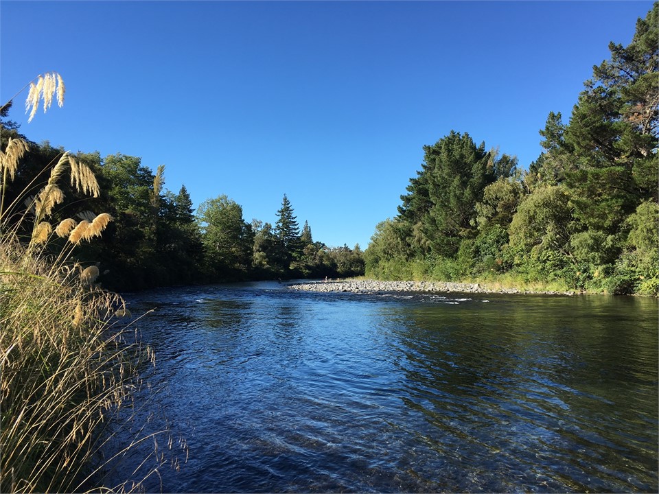 The Breakfast Pool facing north