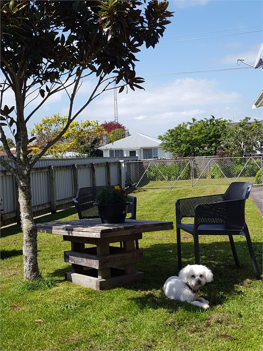 The lodge dog is Beau and he loves to meet our gue