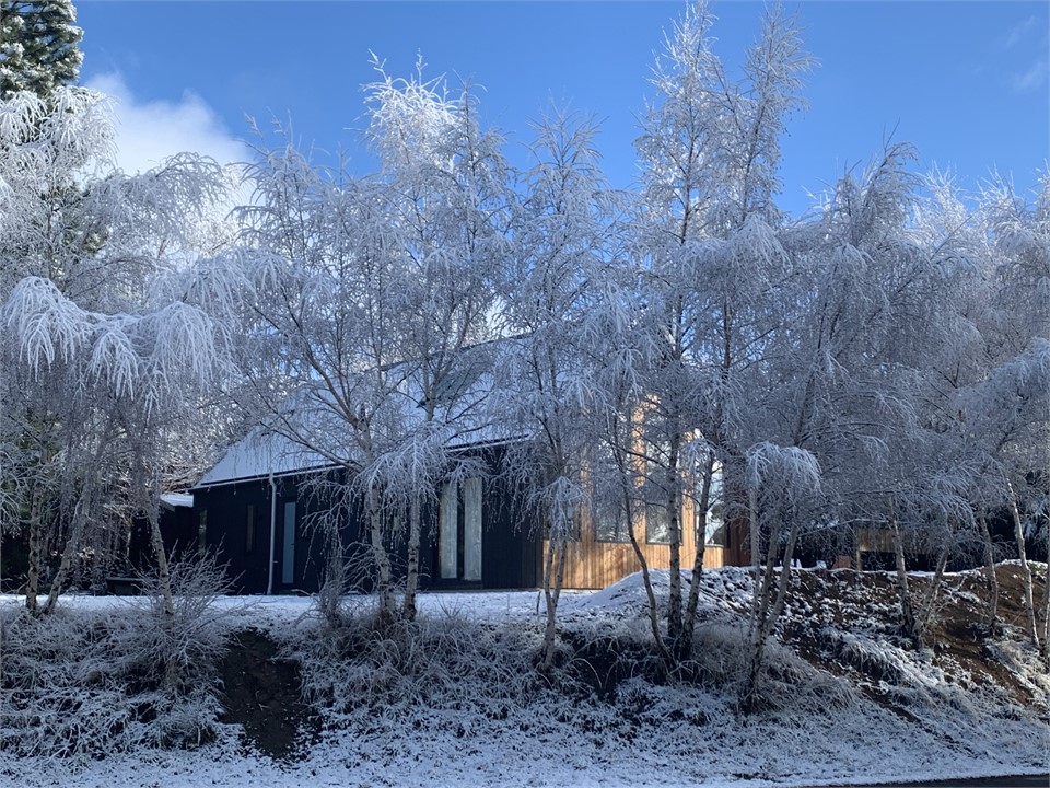 Number 8 - Castle Hill Village Bach for rent | Holiday Houses by