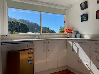 New kitchen and dishwasher