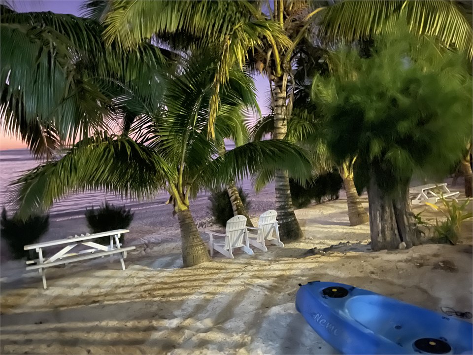 Beachfront setting at Rarotonga Villas