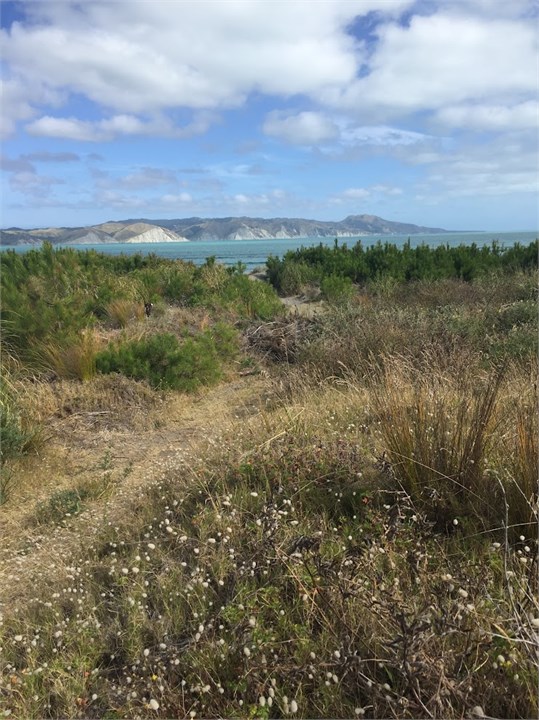 Walking path to the beach 2 mins away