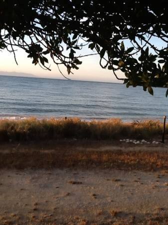 From the doorway of Tata Treat