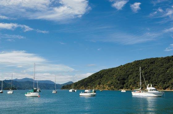 Picton Harbour view