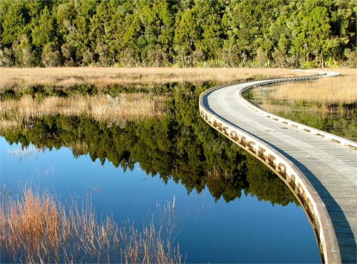 Wetland Board Walk