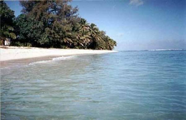 The beach metres from the house