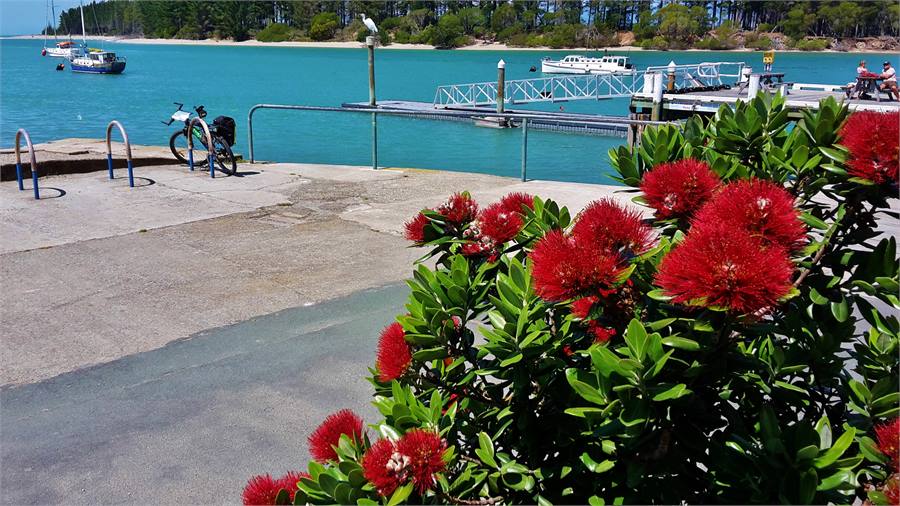 Mapua wharf. Cycle ferry to Rabbit Island