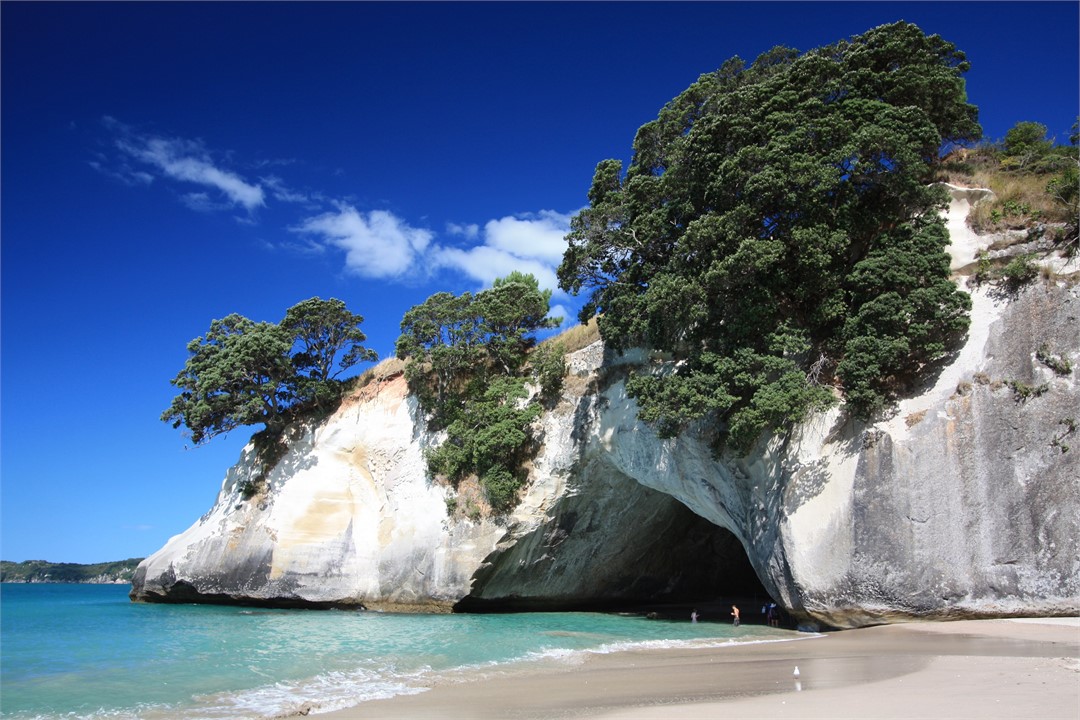 Cathedral Cove
