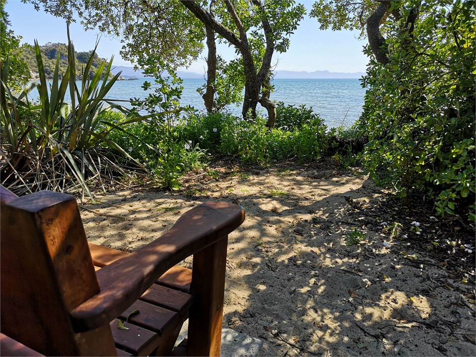 Beach seat in front of the cottages in the trees.