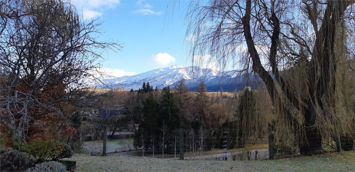 Wintery views from property