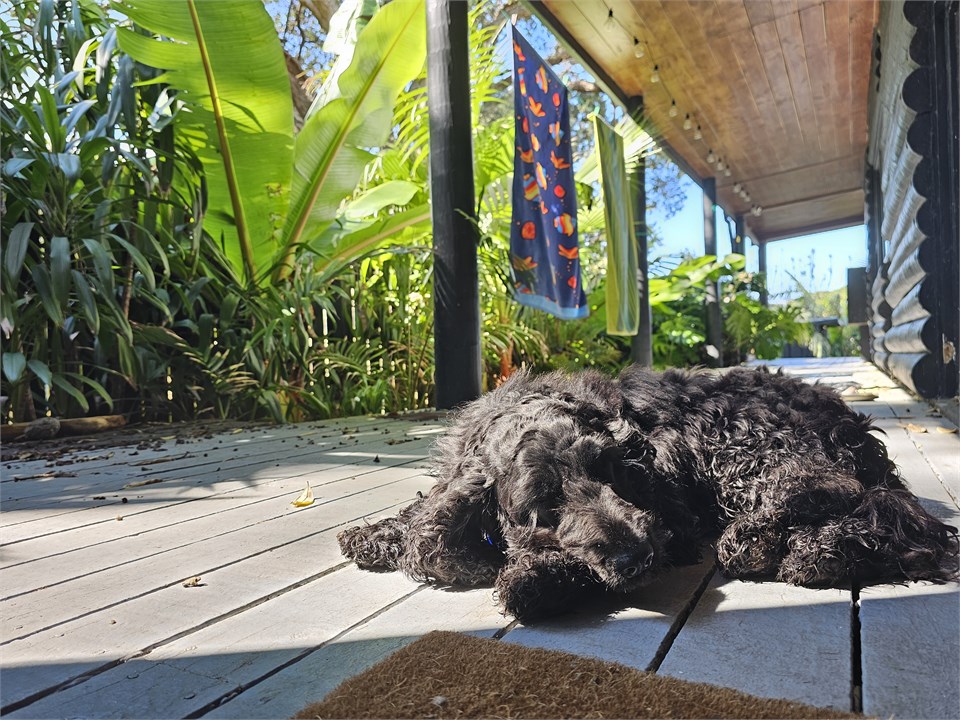Drying out on the deck after fun at Lagoon
