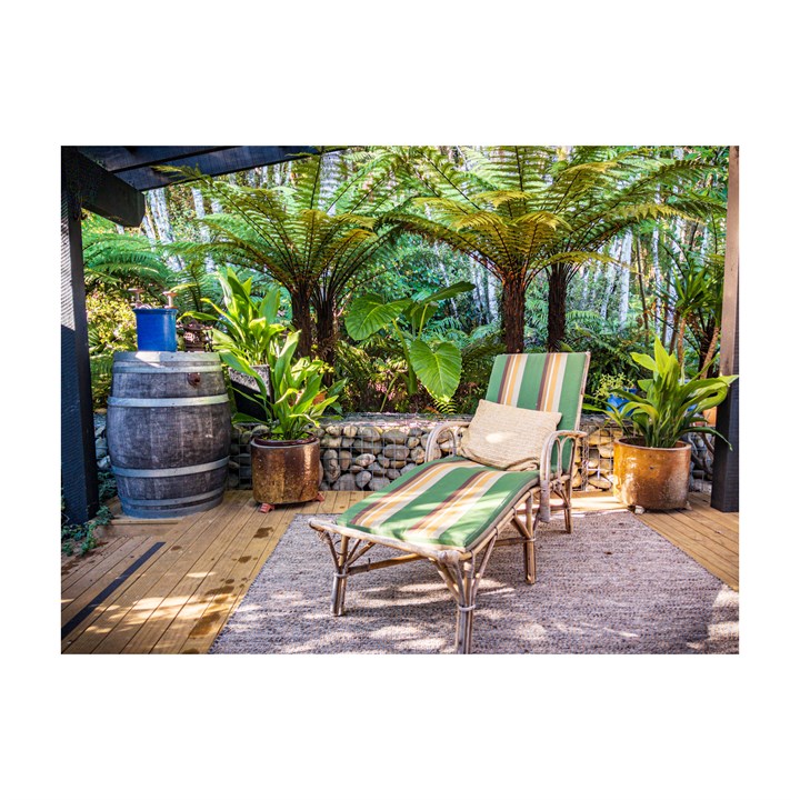 enjoy the lush bush and covered deck out the back