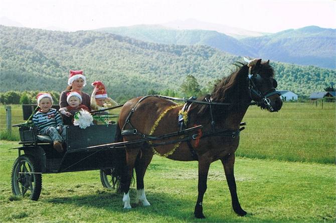 Children love the cart