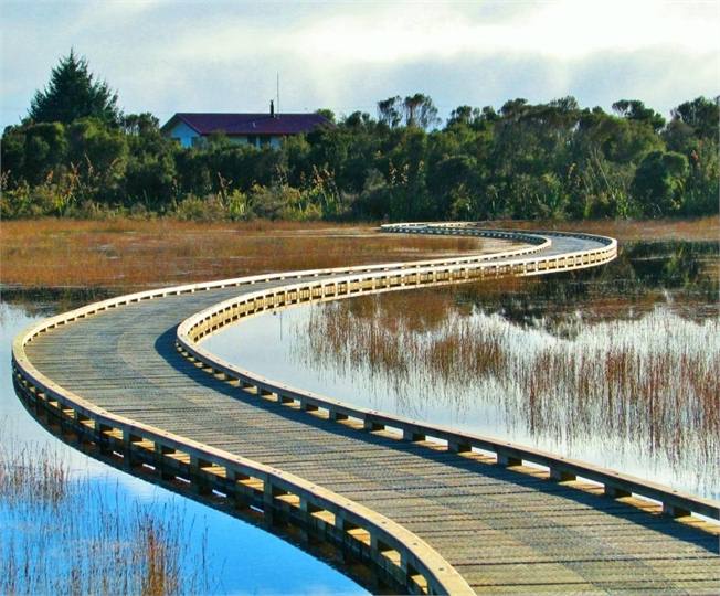 Wetland Board walk and Fernbird Retreat