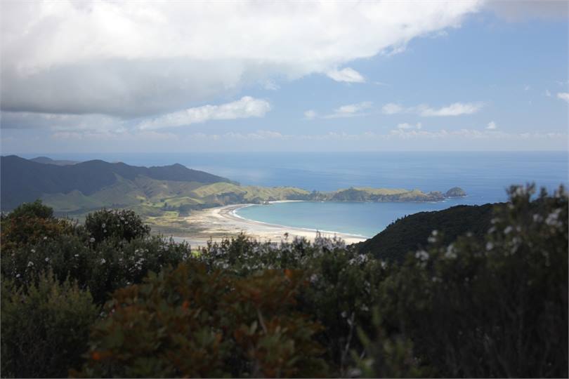 looking down towards shearers quarters from Mt Hob