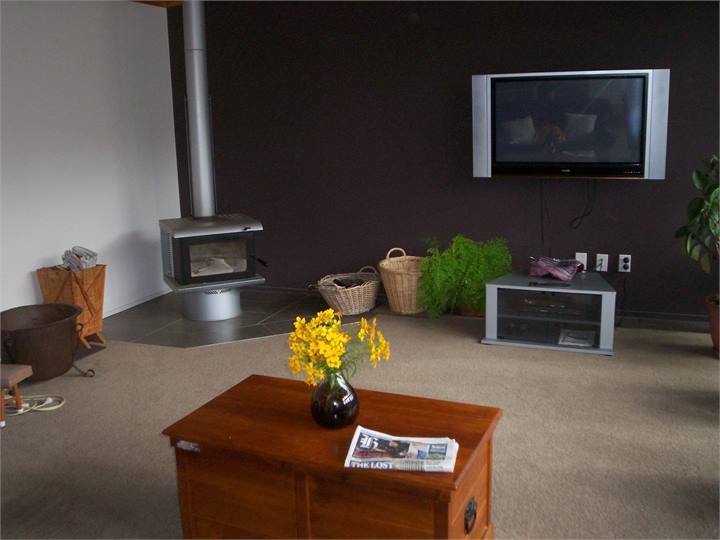 Lounge area - TV & log fire