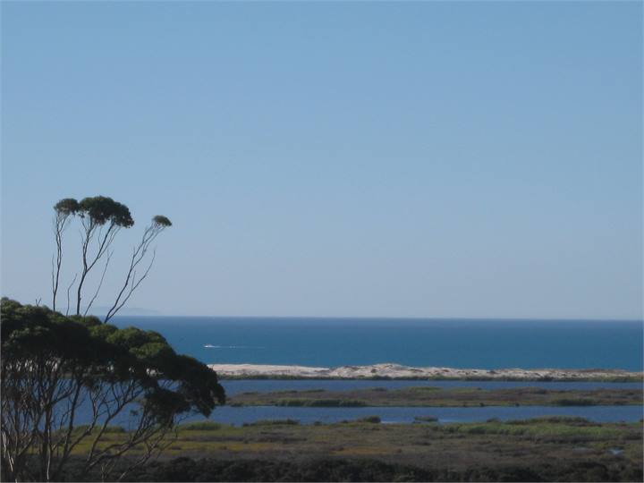 Karikari Bay the view from the Pohutukawa Cabin.