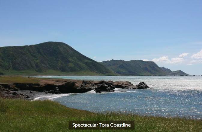 Tora - fishing, diving, beach combing & surf break