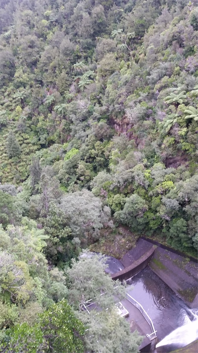 Waitakere Range National Park