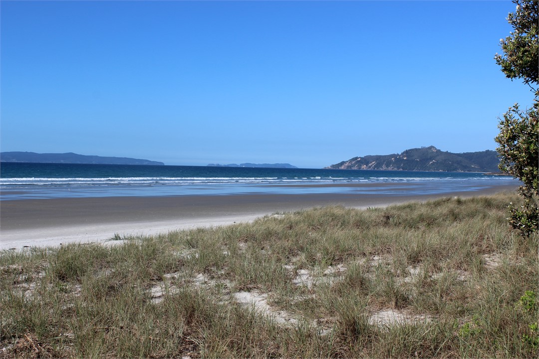 Swim or Jog on the Beach