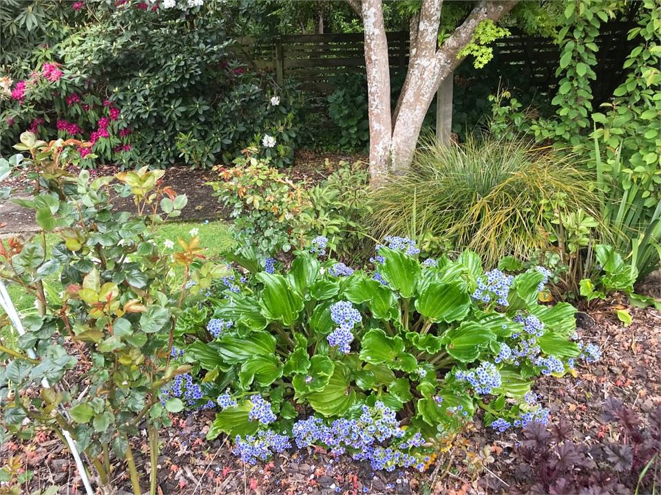 Lovett Lodge - exterior view, front garden