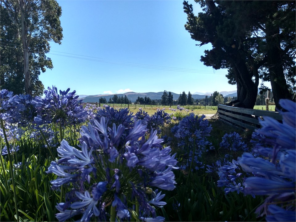 Torless view in Summer