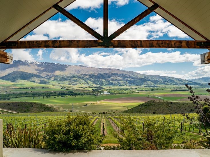 View from the living room