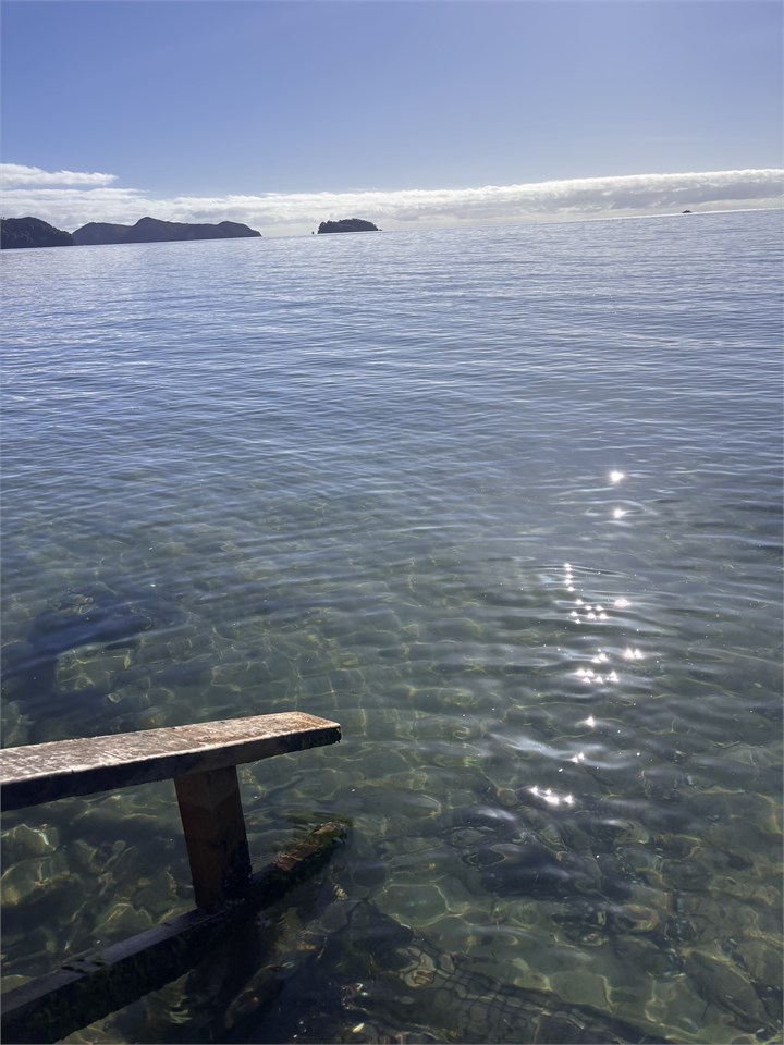 Waterfront, high tide