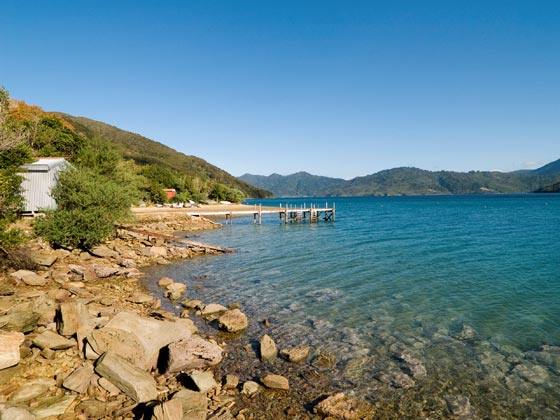 Scene from Queen Charlotte Track