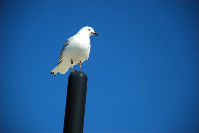 The perfect place with a view, close to Mapua!