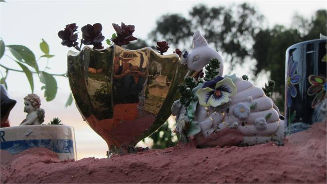 view from play house