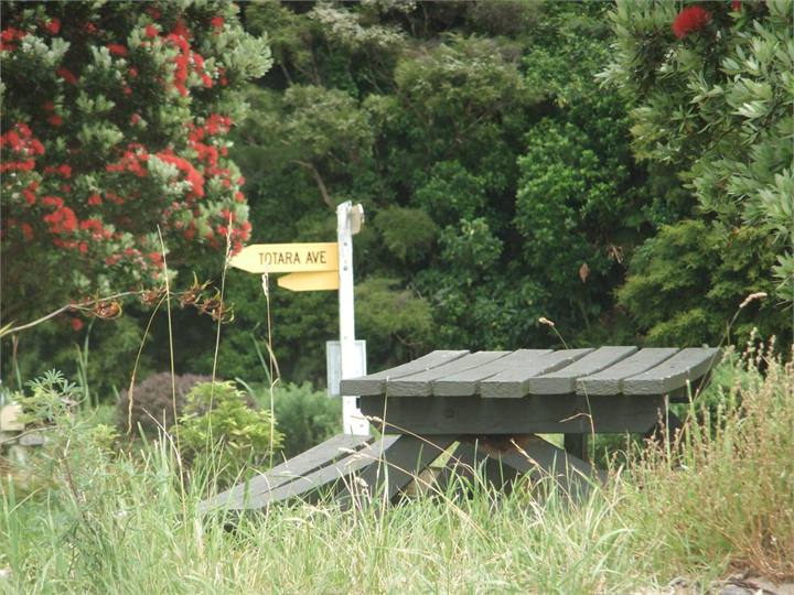 Totara Avenue