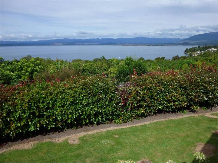 Looking South towards Turangi