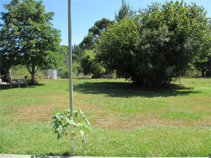 Garden view from living room