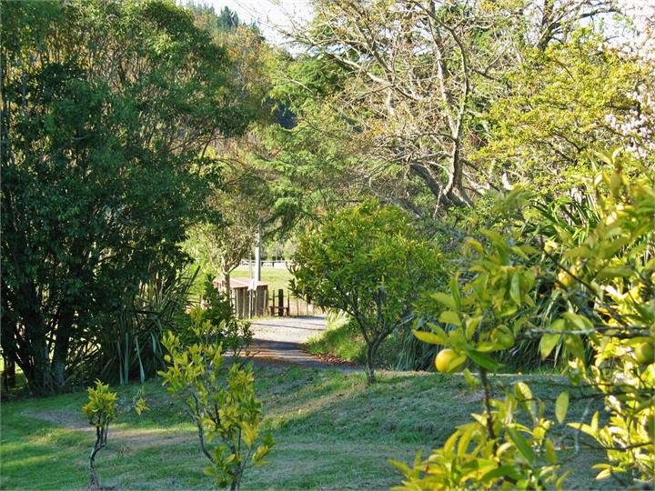 Organic orchards and space yet close to Nelson